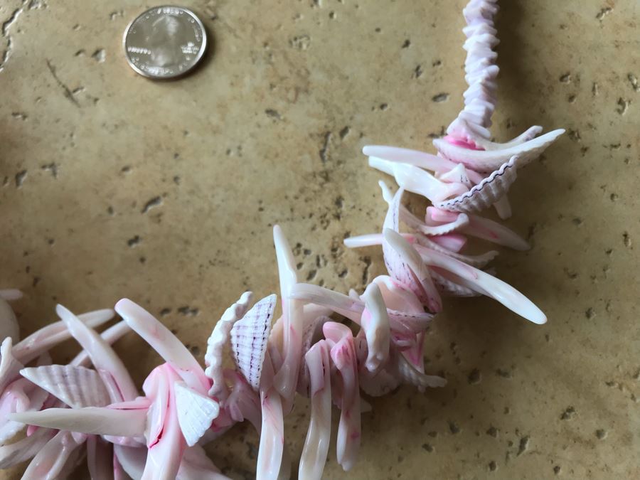 JUST ADDED - Organic Seashell Necklace [Photo 4]