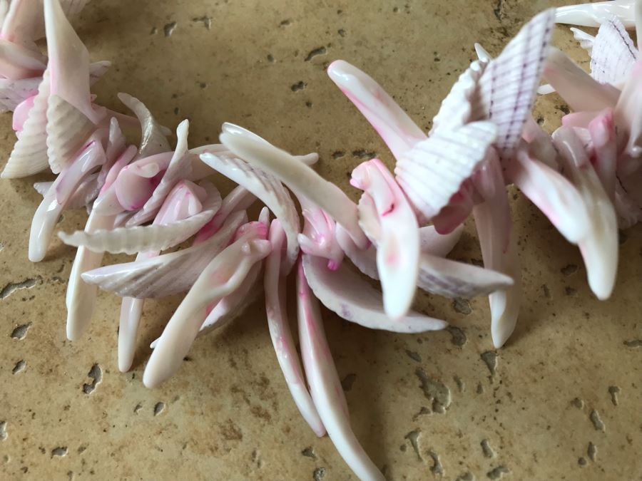 JUST ADDED - Organic Seashell Necklace [Photo 3]