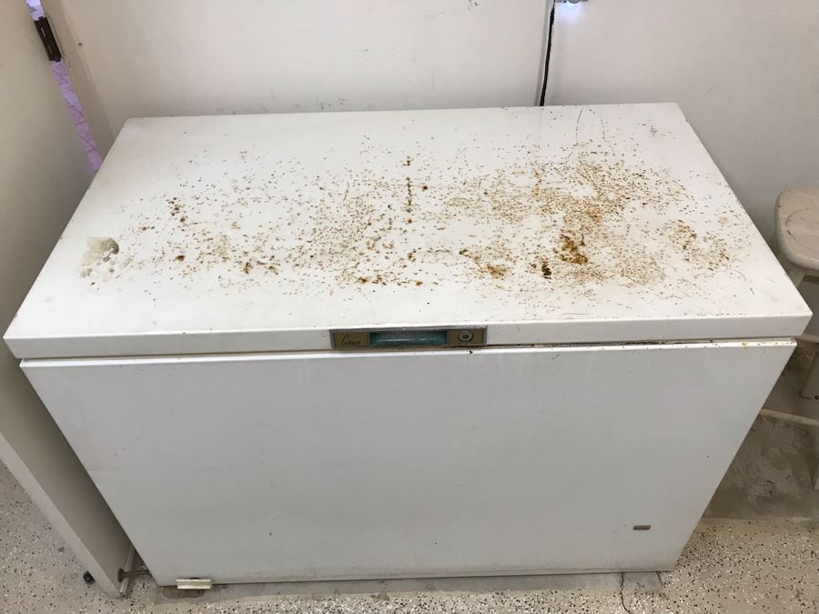 JUST ADDED - Sears Coldspot Freezer 18.2 Cu. Ft. Model 1643 50W X 28D X 36H [Photo 4]