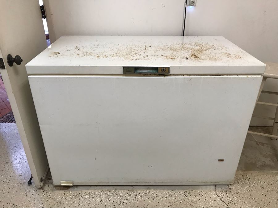 JUST ADDED Sears Coldspot Freezer 18.2 Cu. Ft. Model 1643 50W X 28D X 36H