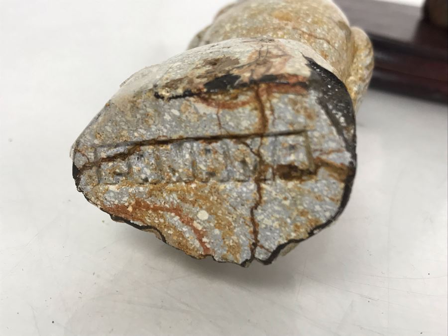 Rosenthal Cat Figurine, Carved Horn Cat Sculpture And Carved Stone Parrot Bird 4.5H With Wooden Stand [Photo 8]