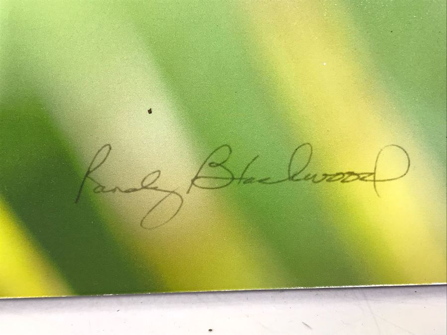 Randy Blackwood Hummingbird Photograph Mounted On Board 18 X 12 [Photo 6]