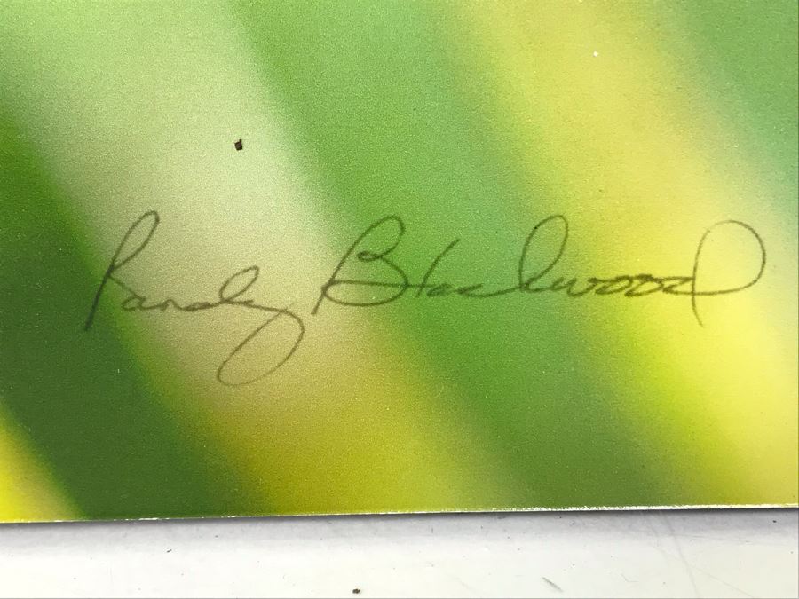 Randy Blackwood Hummingbird Photograph Mounted On Board 18 X 12 [Photo 7]