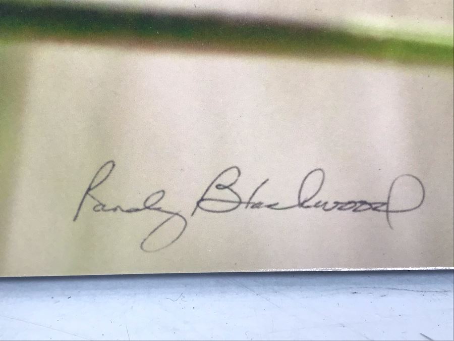 Randy Blackwood Hummingbird Photograph Mounted On Board 18 X 12 [Photo 7]