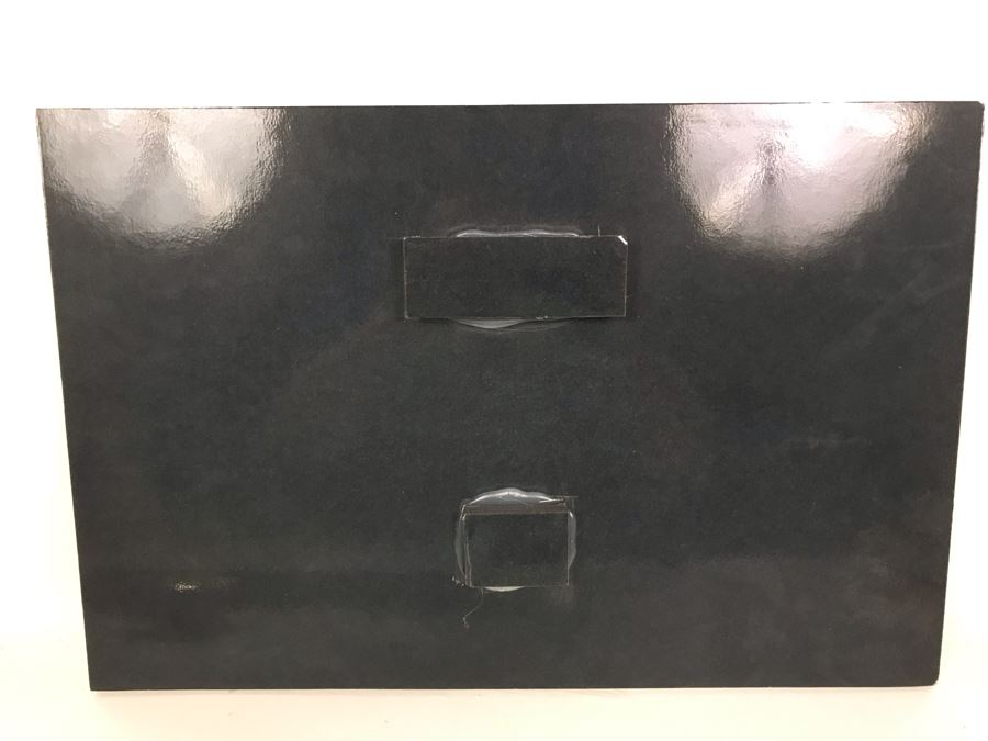 Randy Blackwood Hummingbird Photograph Mounted On Board 18 X 12 [Photo 8]