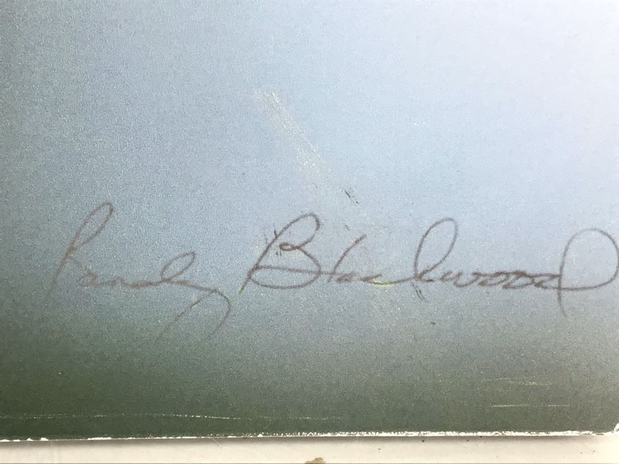 Randy Blackwood Hummingbird Photograph Mounted On Board 18 X 12 [Photo 7]