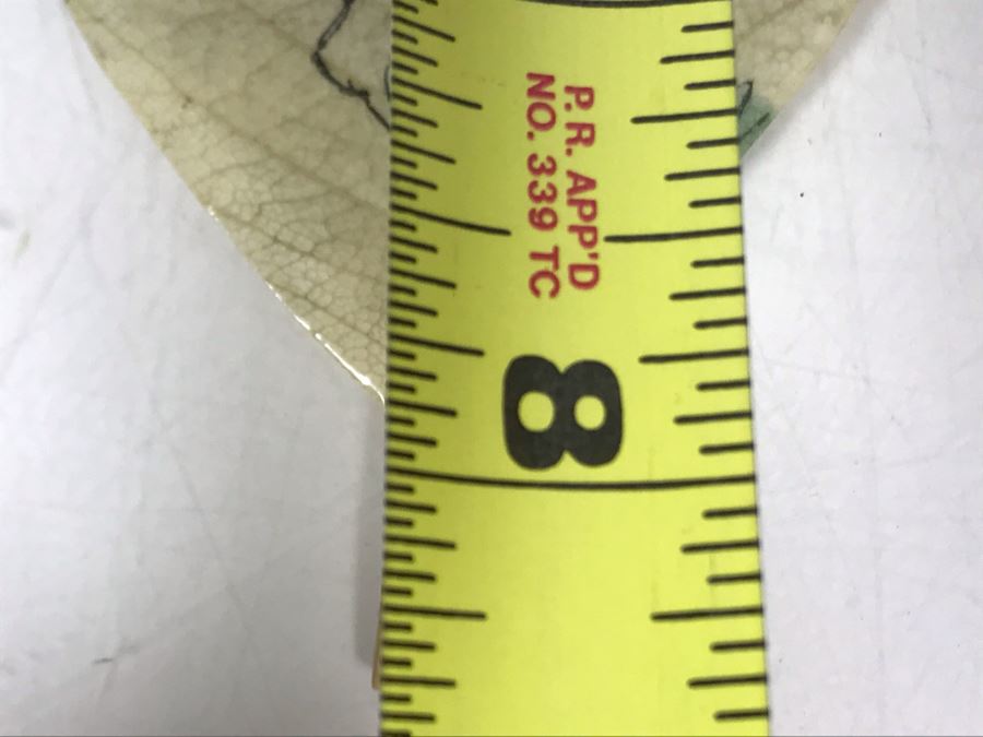 Vintage Chinese Painting On Fig Leaf Bodhi Tree Featuring Red Crowned Cranes 3.25 X 8 [Photo 23]