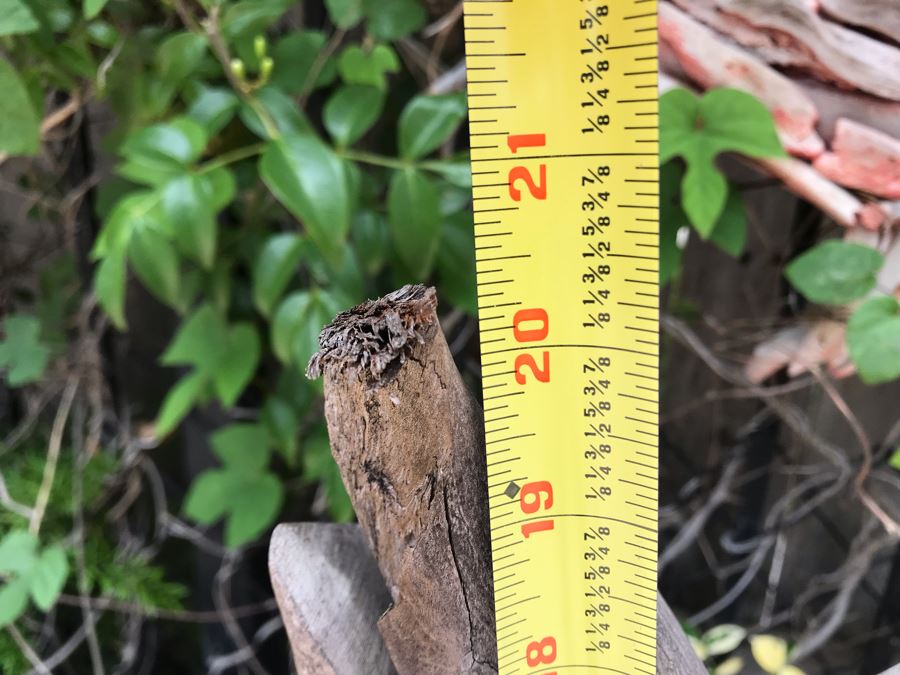 Collection Of Carved Wooden Sculptures: Pelicans, Dolphin, Sailfish And Cactus 14H-20H [Photo 10]