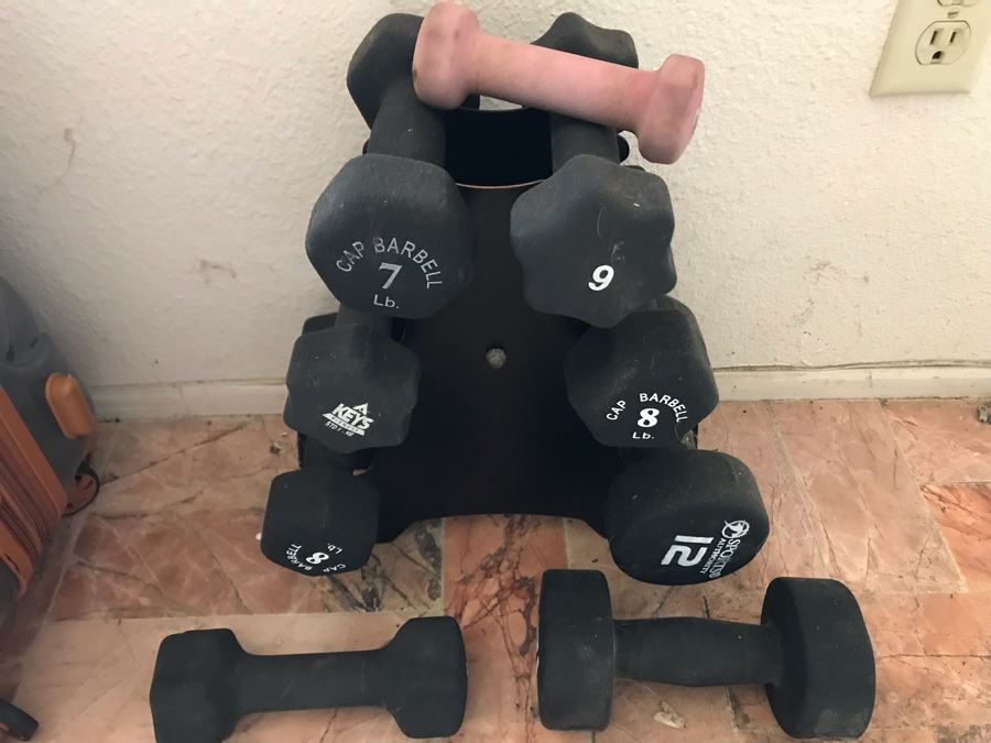 Various Barbell Weights With Rack