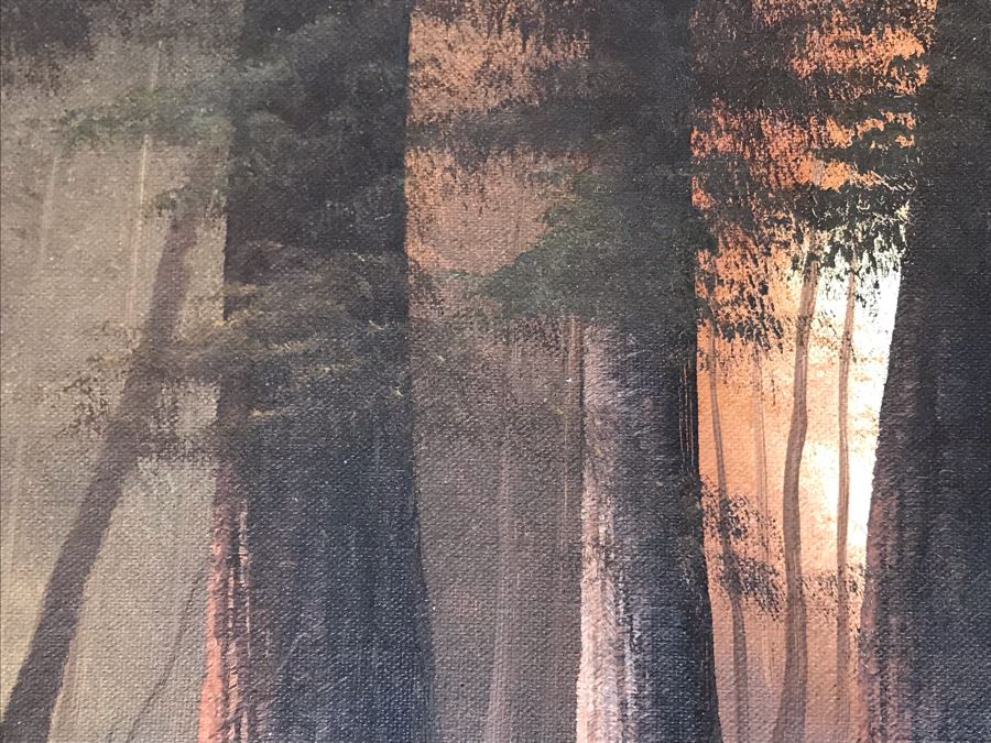 Original Amazing Lit Stream Through The Forest Painting By Jorge Prieto B 36 X 24 [Photo 10]