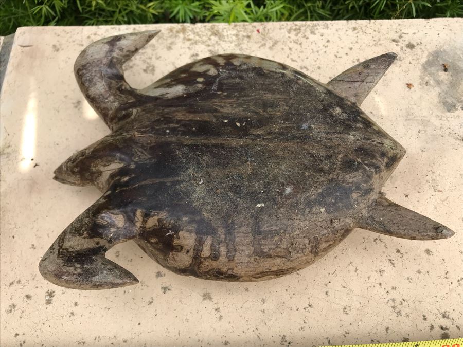 Carved Sea Turtle Sculpture 9W X 7D X 2.5H [Photo 7]