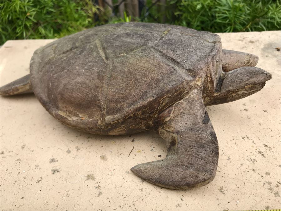 Carved Sea Turtle Sculpture 9W X 7D X 2.5H [Photo 3]