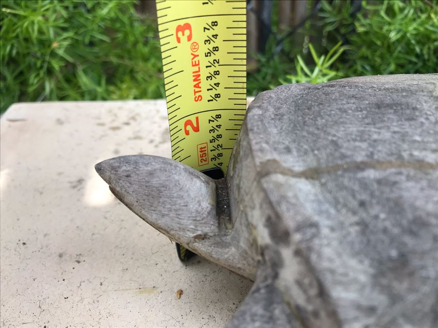 Carved Sea Turtle Sculpture 9W X 7D X 2.5H [Photo 10]