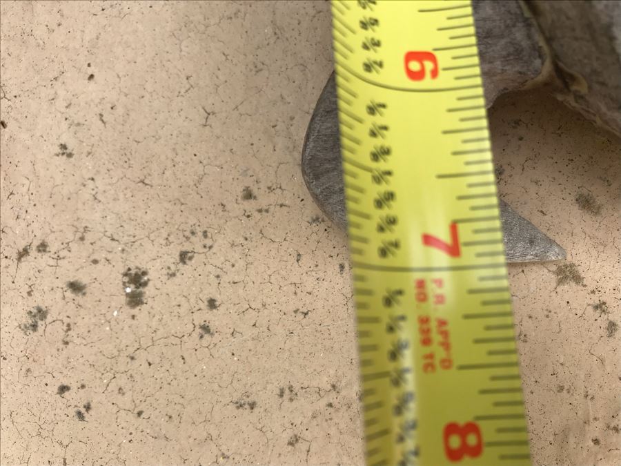 Carved Sea Turtle Sculpture 9W X 7D X 2.5H [Photo 9]