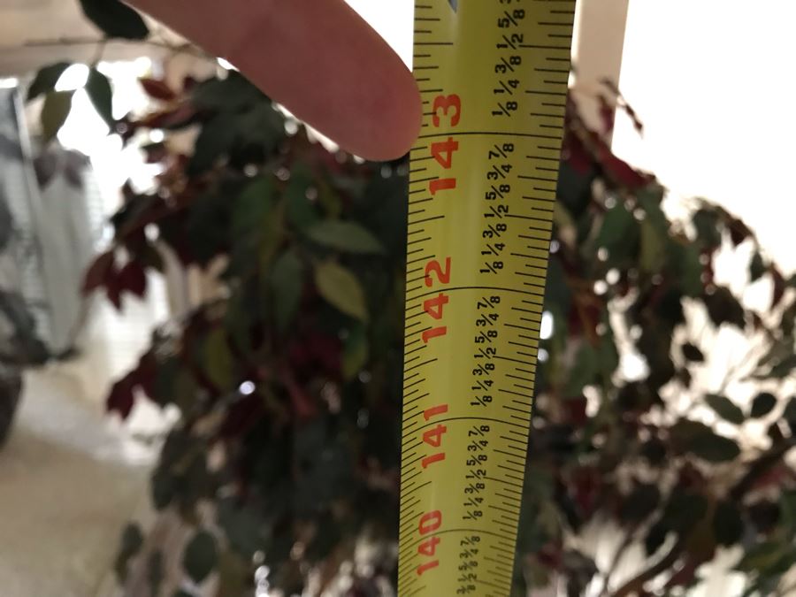 Massive Artificial Indoor Tree 12'H X 21W [Photo 6]