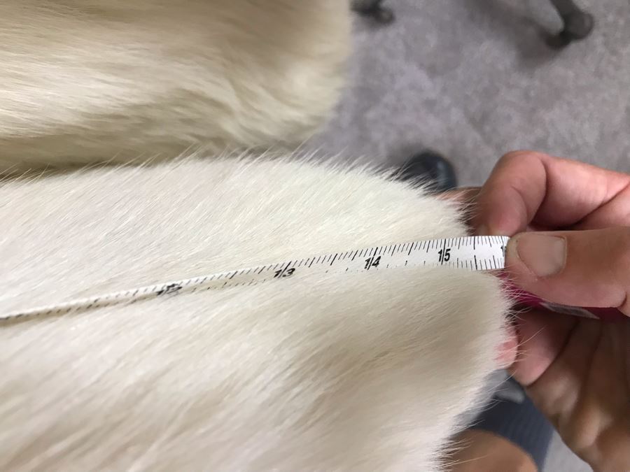 Pellicceria Graxia Milano Italian White Fur Jacket Apx Size 42 Length:30 Perimeter:45 Outer Sleeve To Neck:30 Inner Sleeve:16 [Photo 15]