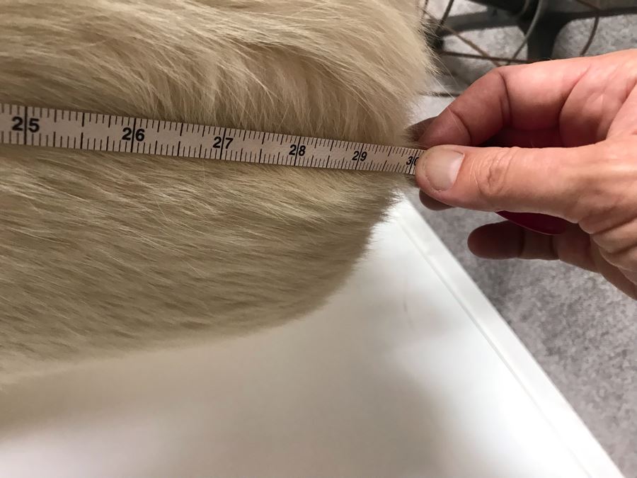 Pellicceria Graxia Milano Italian White Fur Jacket Apx Size 42 Length:30 Perimeter:45 Outer Sleeve To Neck:30 Inner Sleeve:16 [Photo 16]