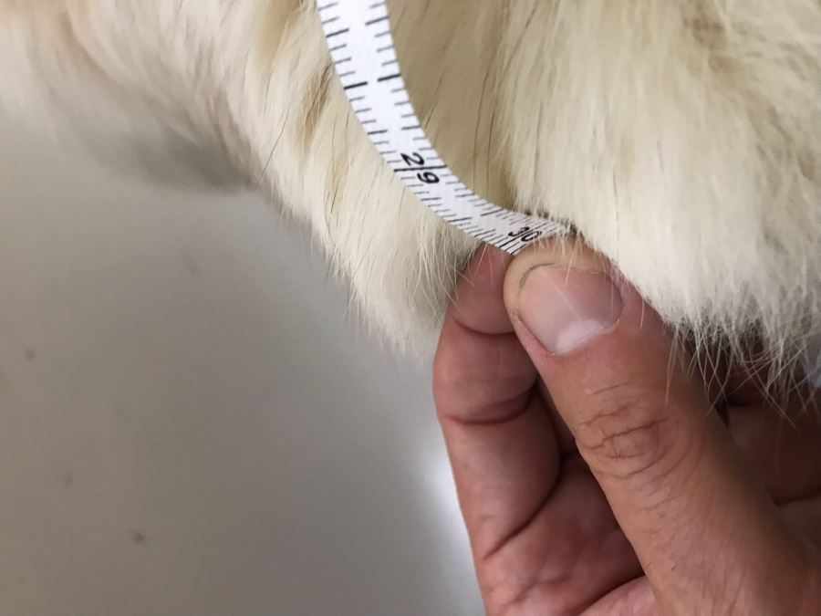 Pellicceria Graxia Milano Italian White Fur Jacket Apx Size 42 Length:30 Perimeter:45 Outer Sleeve To Neck:30 Inner Sleeve:16 [Photo 18]