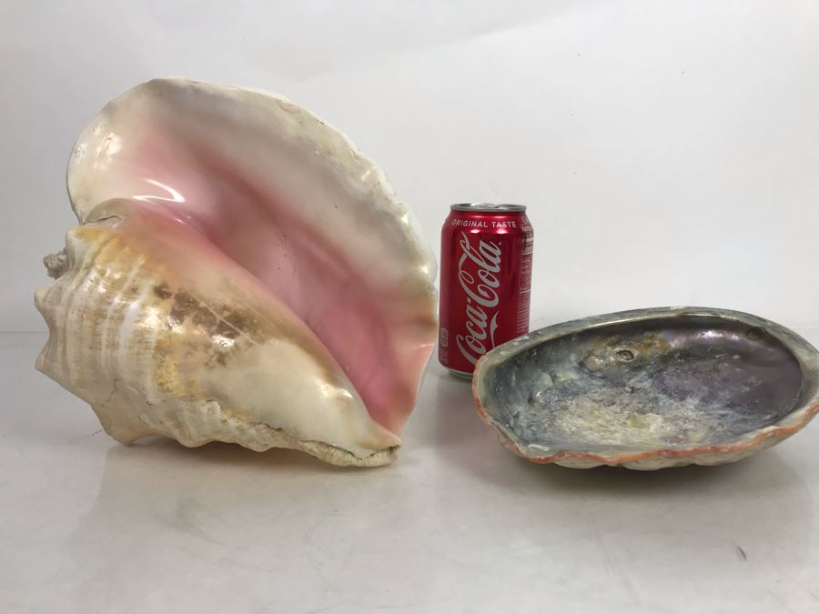 Large Pink Conch Seashell 11W X 8D X 5H And Large Abalone Seashell 8W X 6D [Photo 2]
