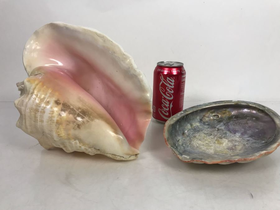 Large Pink Conch Seashell 11W X 8D X 5H And Large Abalone Seashell 8W X 6D