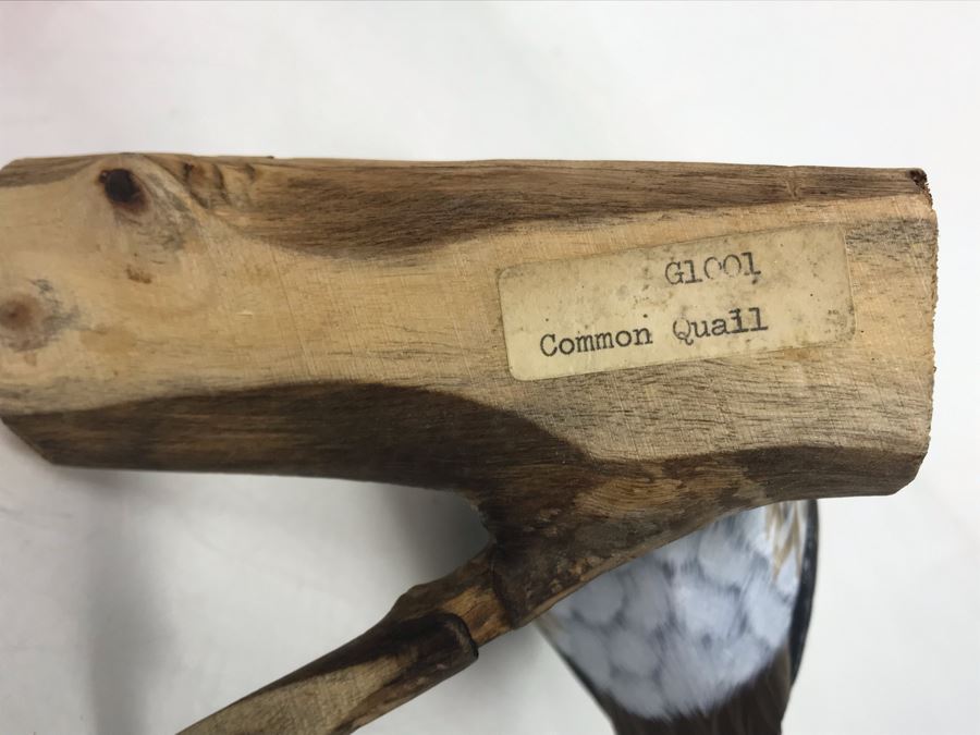 Hand Painted Wooden Common Quail Sculpture 4.5W X 4D X 5.5H [Photo 9]