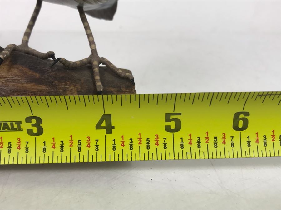 Hand Painted Wooden Common Quail Sculpture 4.5W X 4D X 5.5H [Photo 10]