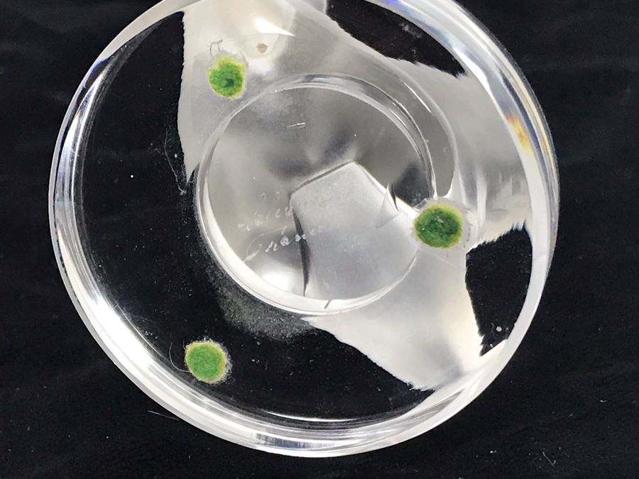 Signed Lalique France Crystal Swan Paperweight [Photo 8]