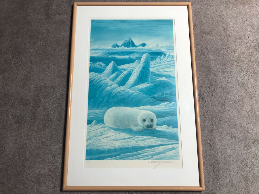 Framed Hand Signed Limited Edition Robert Lyn Nelson Print Of Baby Harp Seal Endangered Species 18.5 X 32