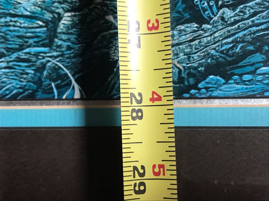 Framed Hand Signed Robert Lyn Nelson Print Of Whales And Dolphin 'Two Worlds' Style Land And Sea Maui Artist 22 X 28 [Photo 11]