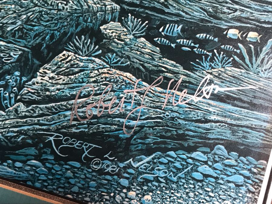 Framed Hand Signed Robert Lyn Nelson Print Of Whales And Dolphin 'Two Worlds' Style Land And Sea Maui Artist 22 X 28 [Photo 8]