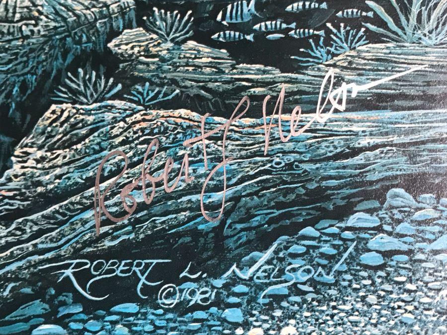 Framed Hand Signed Robert Lyn Nelson Print Of Whales And Dolphin 'Two Worlds' Style Land And Sea Maui Artist 22 X 28 [Photo 9]