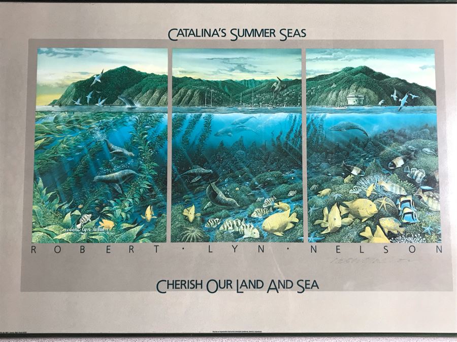 Framed Hand Signed Robert Lyn Nelson Print Titled 'Catalina's Summer Seas' 'Two Worlds' Style Land And Sea Maui Artist 36 X 24 [Photo 4]