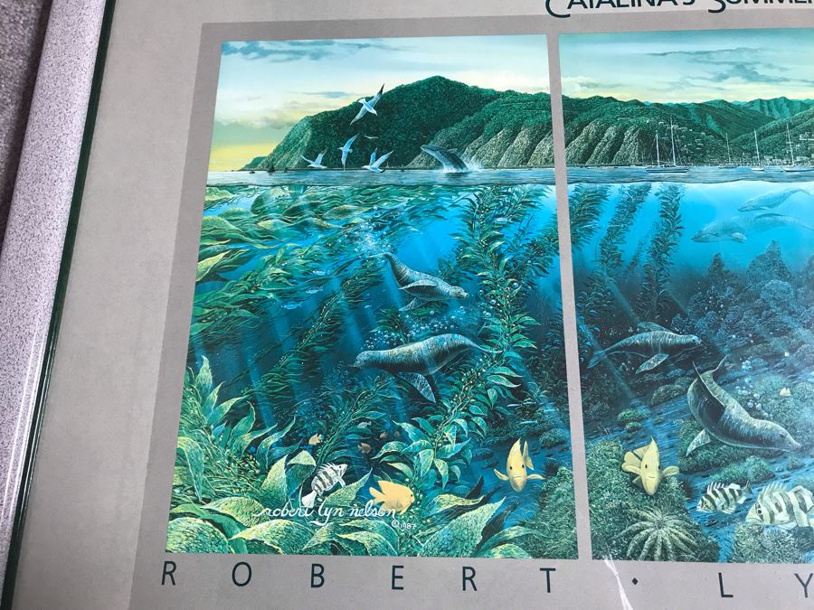 Framed Hand Signed Robert Lyn Nelson Print Titled 'Catalina's Summer Seas' 'Two Worlds' Style Land And Sea Maui Artist 36 X 24 [Photo 8]