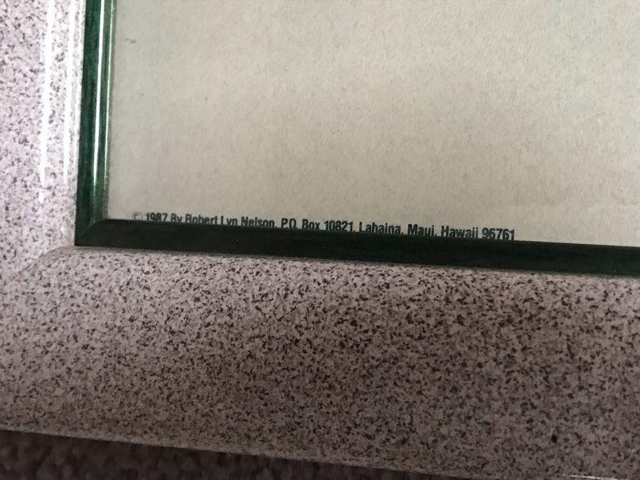 Framed Hand Signed Robert Lyn Nelson Print Titled 'Catalina's Summer Seas' 'Two Worlds' Style Land And Sea Maui Artist 36 X 24 [Photo 12]