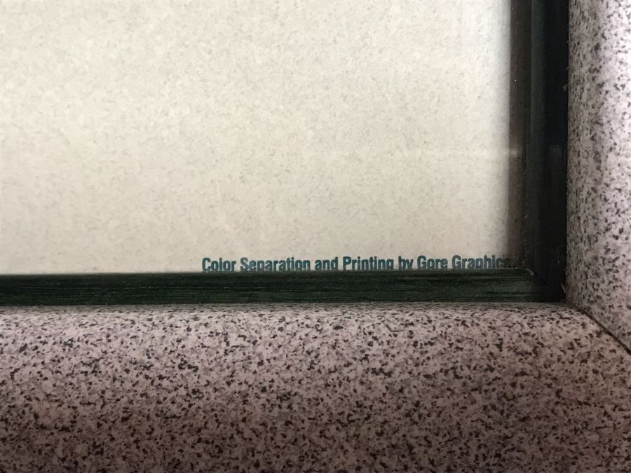 Framed Hand Signed Robert Lyn Nelson Print Titled 'Catalina's Summer Seas' 'Two Worlds' Style Land And Sea Maui Artist 36 X 24 [Photo 11]