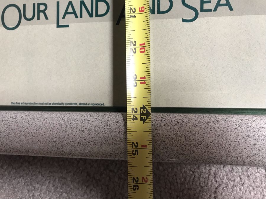 Framed Hand Signed Robert Lyn Nelson Print Titled 'Catalina's Summer Seas' 'Two Worlds' Style Land And Sea Maui Artist 36 X 24 [Photo 14]