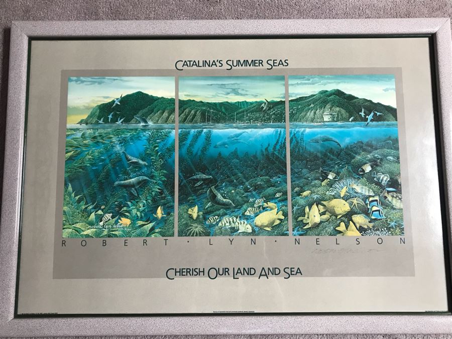 Framed Hand Signed Robert Lyn Nelson Print Titled 'Catalina's Summer Seas' 'Two Worlds' Style Land And Sea Maui Artist 36 X 24 [Photo 3]