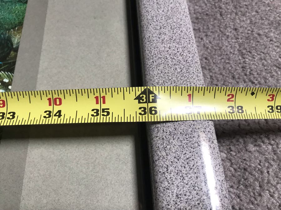 Framed Hand Signed Robert Lyn Nelson Print Titled 'Catalina's Summer Seas' 'Two Worlds' Style Land And Sea Maui Artist 36 X 24 [Photo 13]