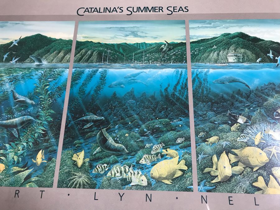 Framed Hand Signed Robert Lyn Nelson Print Titled 'Catalina's Summer Seas' 'Two Worlds' Style Land And Sea Maui Artist 36 X 24 [Photo 7]