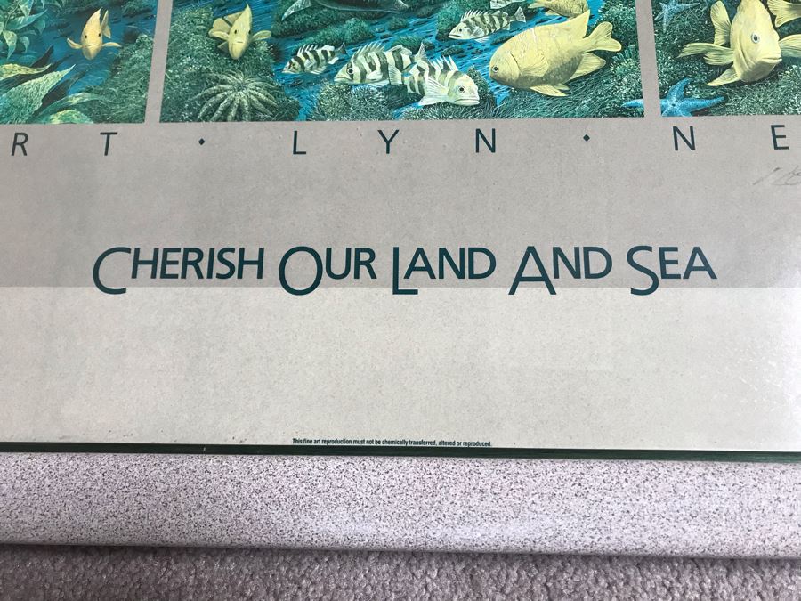 Framed Hand Signed Robert Lyn Nelson Print Titled 'Catalina's Summer Seas' 'Two Worlds' Style Land And Sea Maui Artist 36 X 24 [Photo 9]