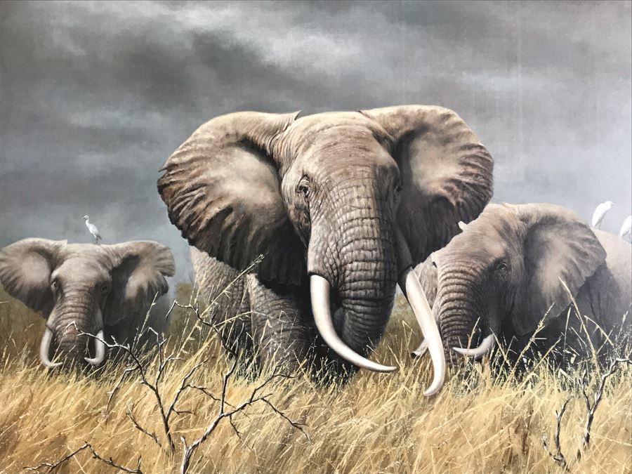 Framed Hand Signed Charles Frace Limited Edition Print 'Power of the Serengeti' Elephants Outstanding Lighting 29.5 X 20.5 [Photo 3]