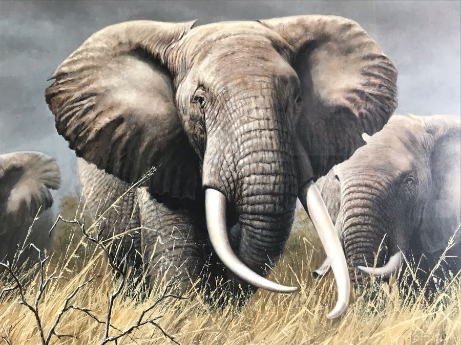 Framed Hand Signed Charles Frace Limited Edition Print 'Power of the Serengeti' Elephants Outstanding Lighting 29.5 X 20.5 [Photo 4]