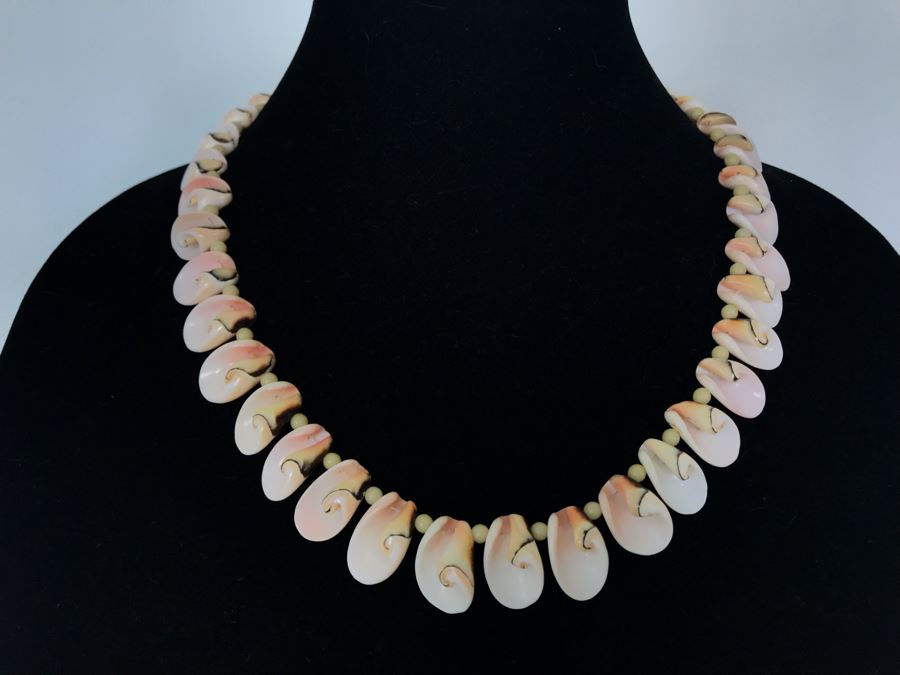 Gorgeous Organic Shell Artisan Necklace