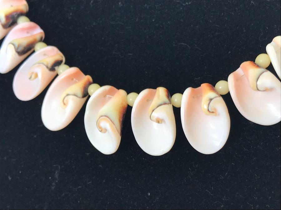 Gorgeous Organic Shell Artisan Necklace [Photo 3]