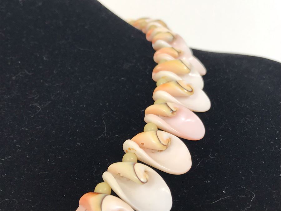 Gorgeous Organic Shell Artisan Necklace [Photo 4]