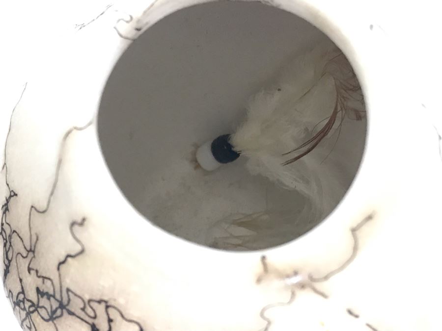 Signed Vail Family Horsehair Native American Pottery Pot 3.5H And Inlaid Eggshell Vase 5H [Photo 7]