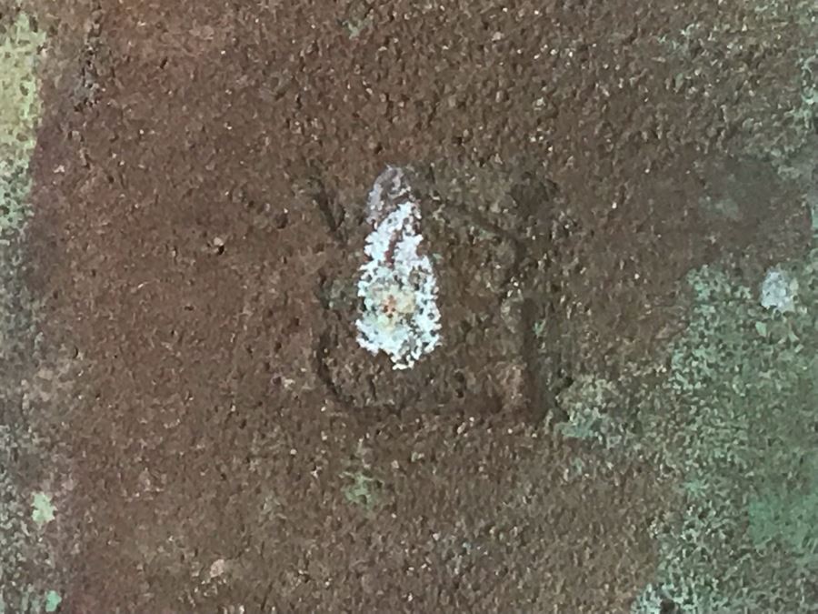 Original Mid-Century Paolo Soleri Italian-American Architect Signed Sculptural Bronze Wind Chime Wind-Bells Windbell 34L [Photo 11]