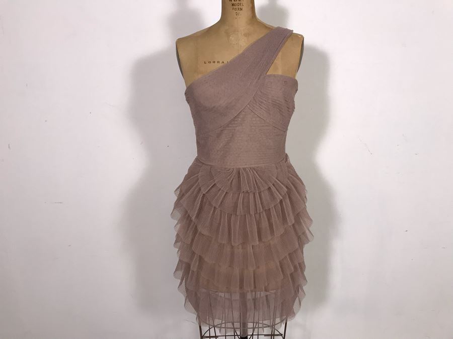 BCBGMaxazria Dress Size 6 [Photo 1]