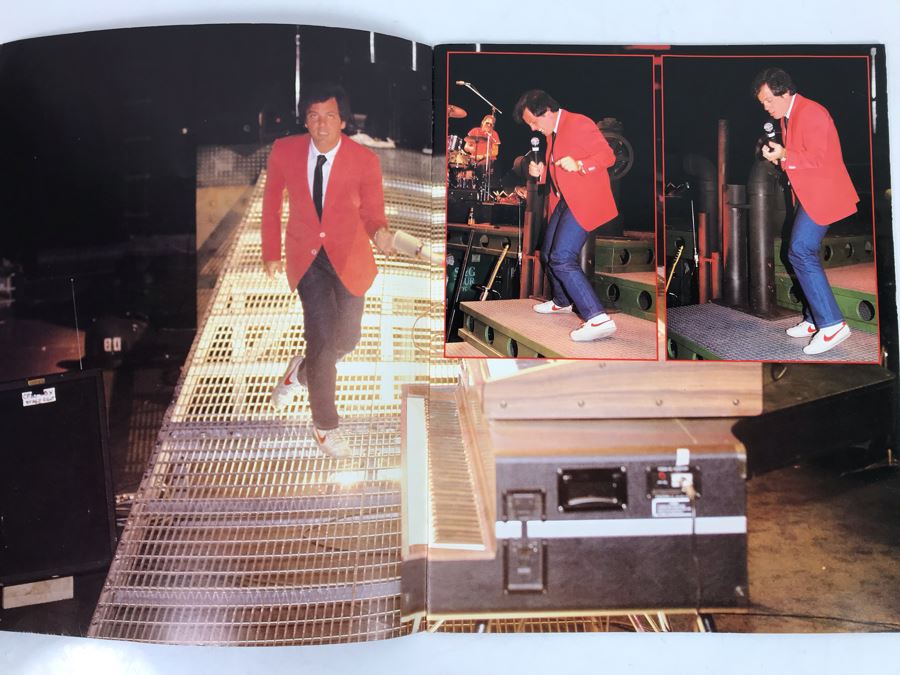 Billy Joel A Tour Behind The Nylon Curtain Tour Program Book [Photo 3]