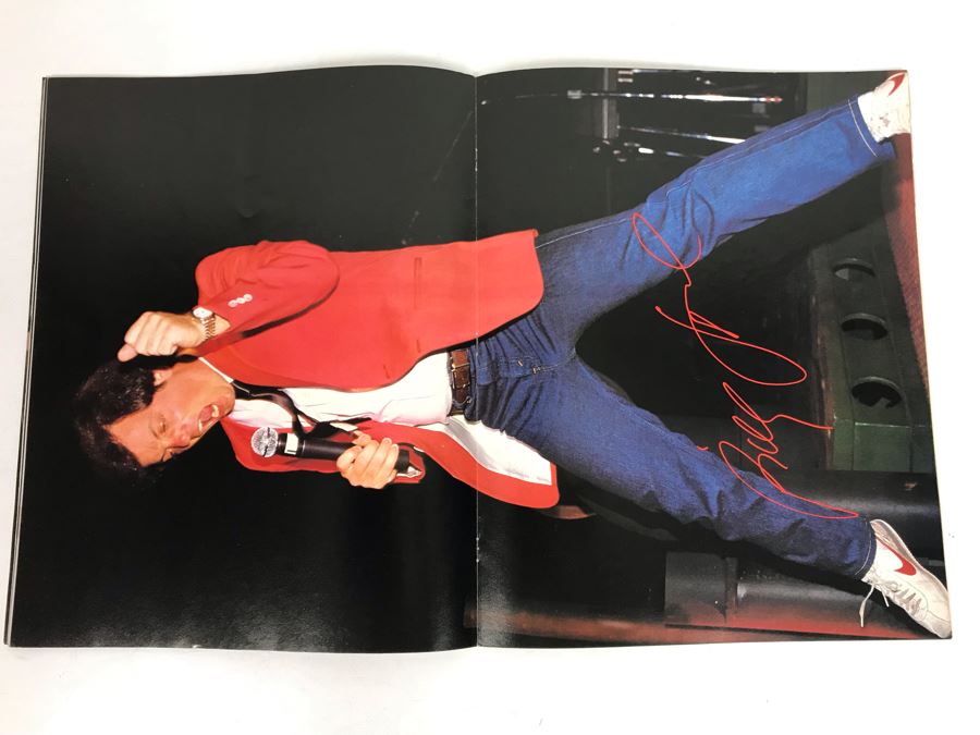 Billy Joel A Tour Behind The Nylon Curtain Tour Program Book [Photo 7]